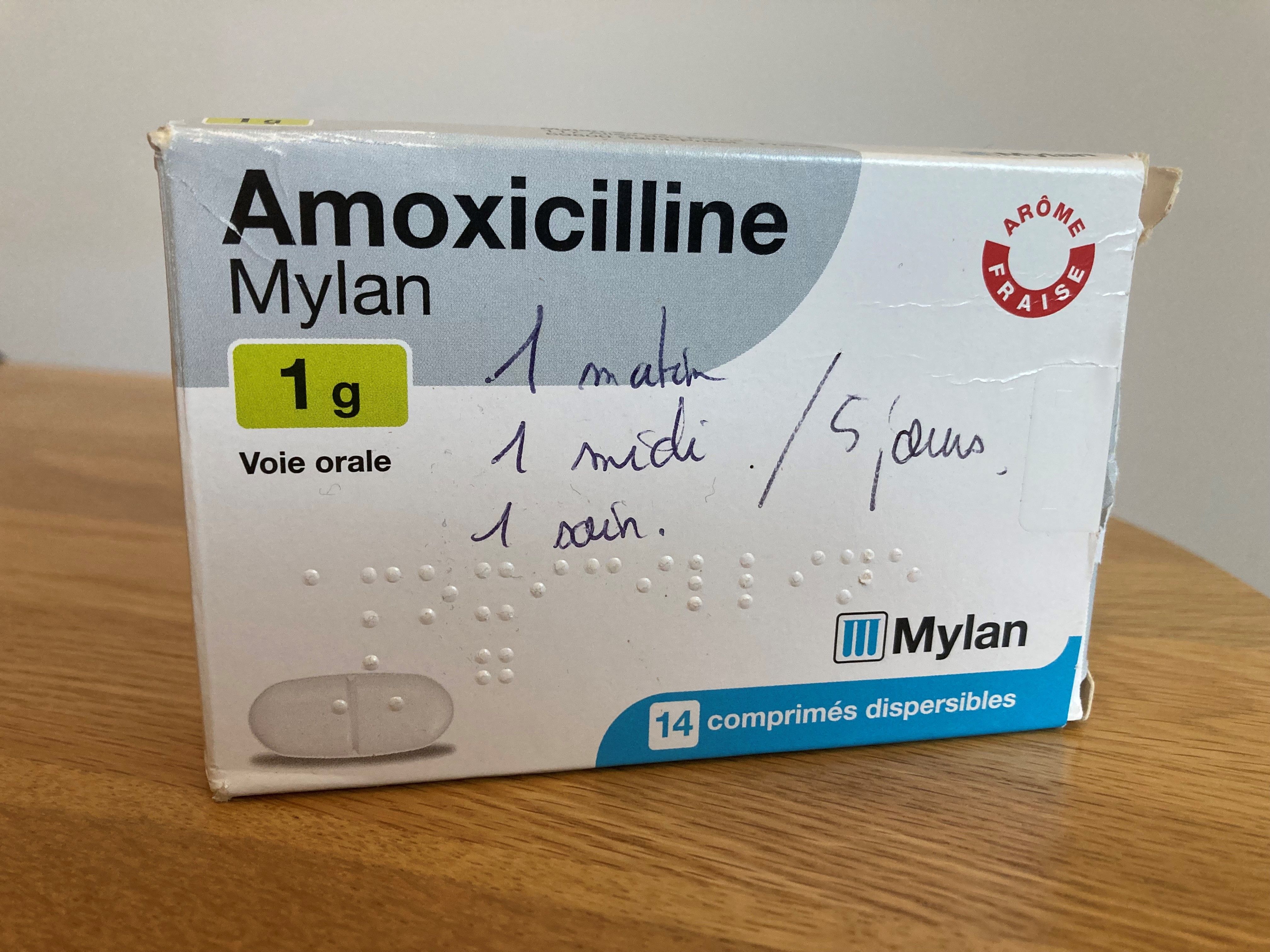 Prix amoxicilline mylan 1g