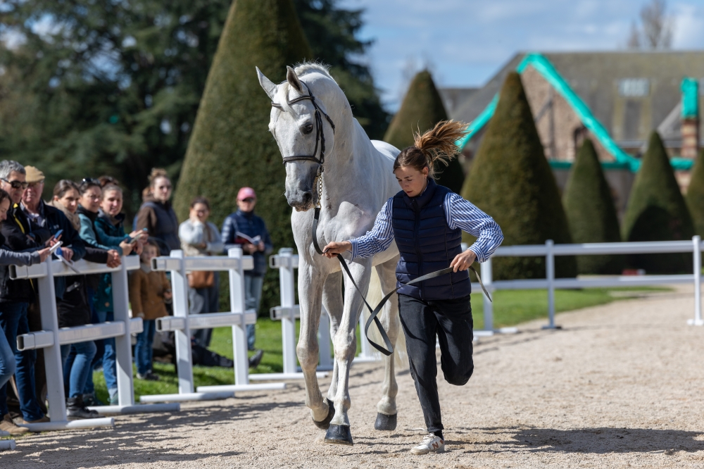 Super P-force Prix France