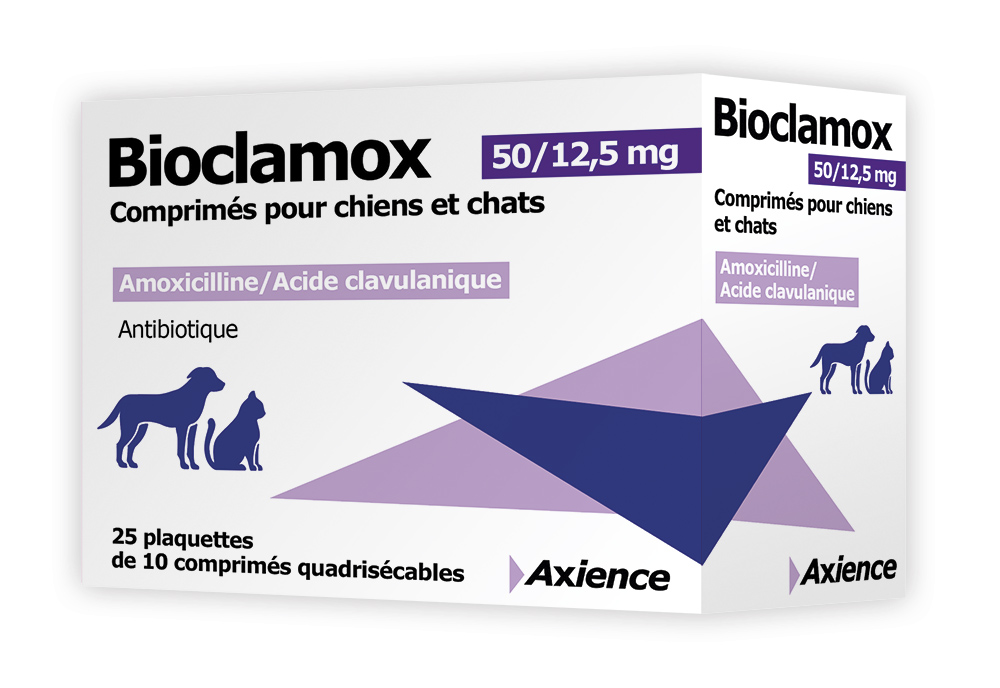 acheter de lamoxicilline