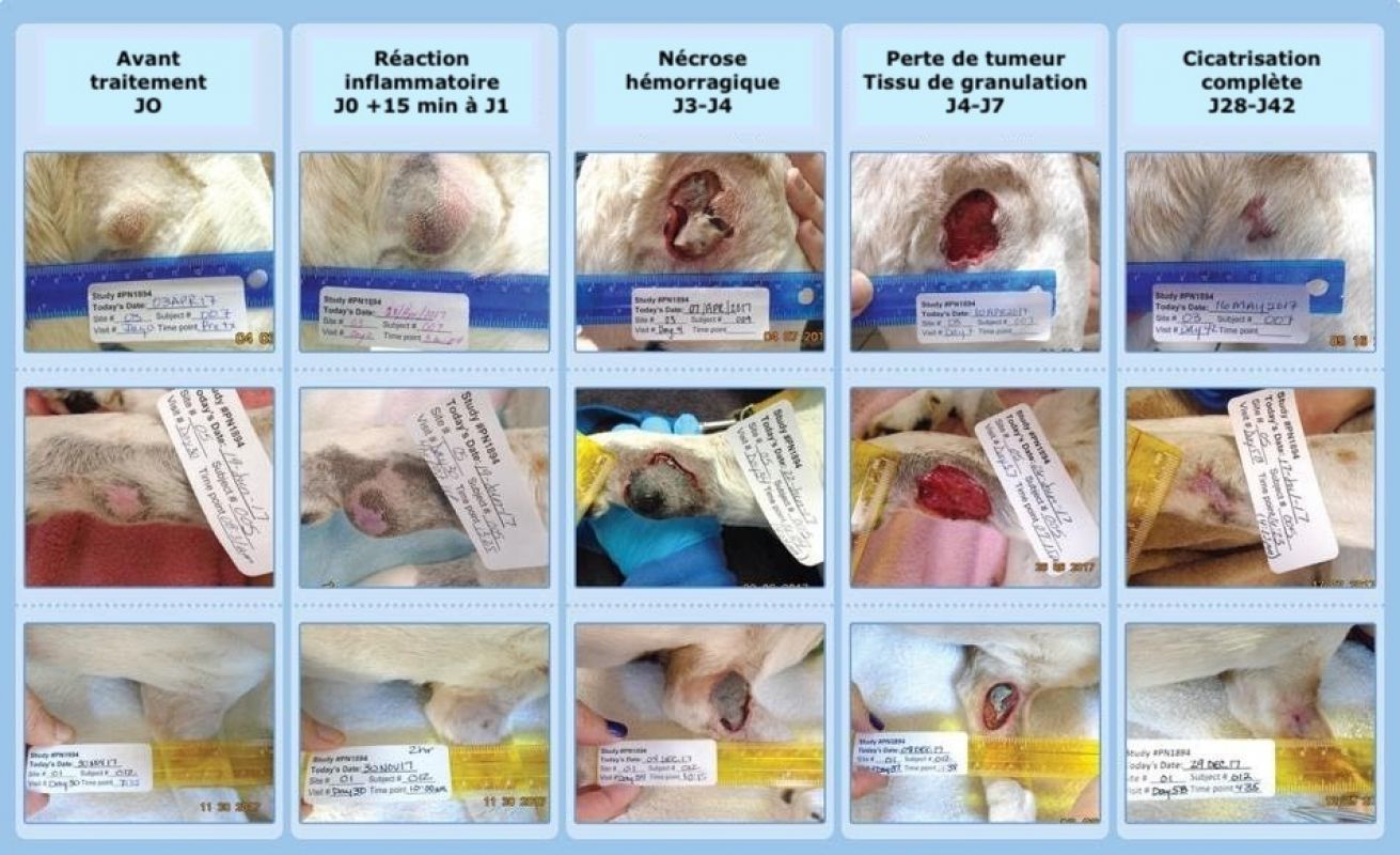 Tramadol Injectable Prix