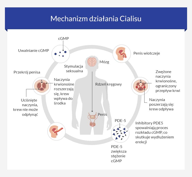 Cialis 2 5 Mg Online