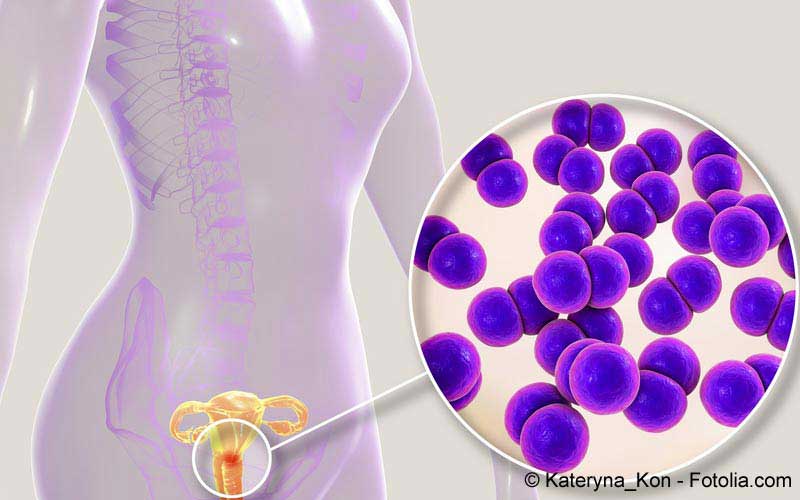 azithromycin online de