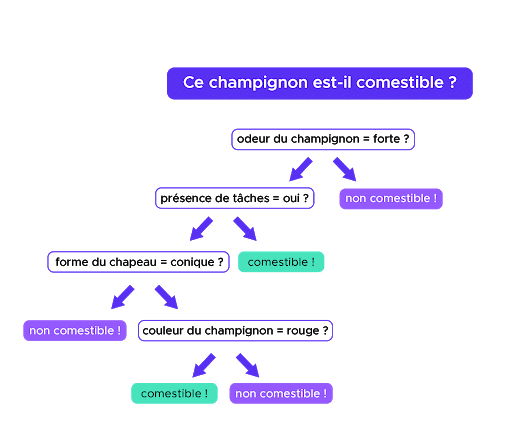 acheter du forzest en ligne