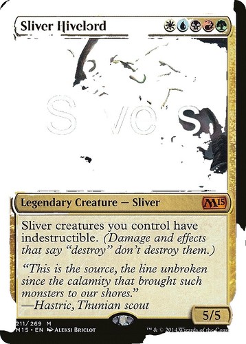 Commander finpecia