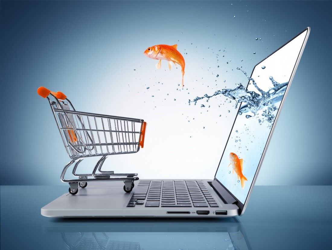 Alli achat en ligne