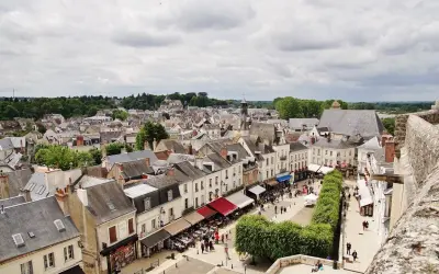 Ambien France