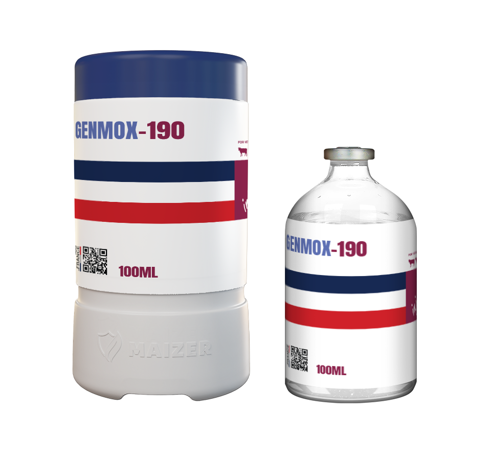 amoxicillin in france