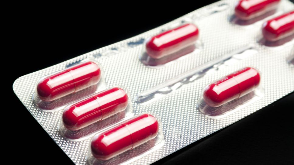 Amoxicillin pilule