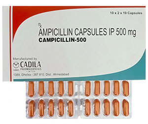 amoxicilline achat