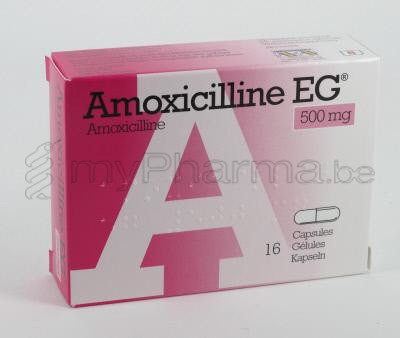 amoxicilline le prix