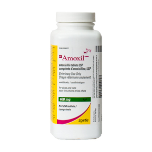 amoxil le moins cher