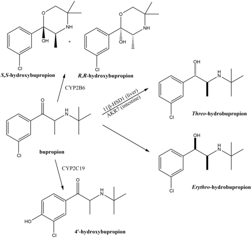 Bupropion france