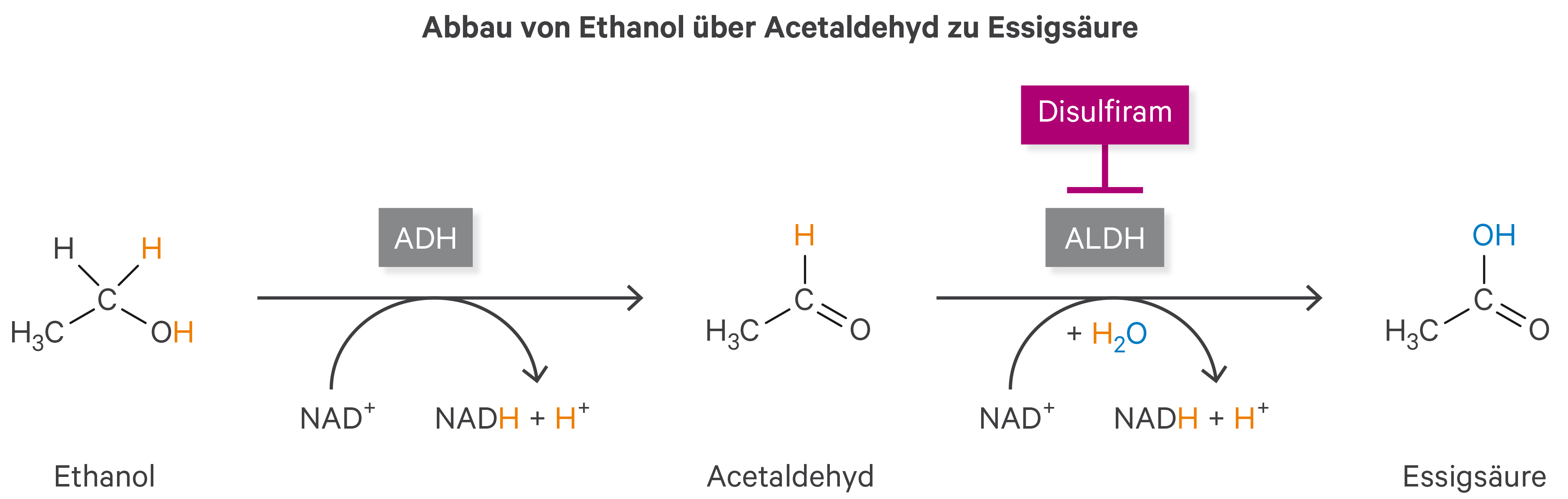 Antabuse pilule