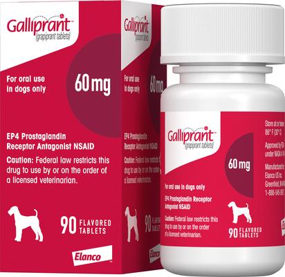 prednisolone achat