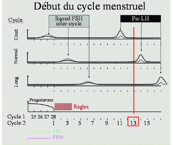 Clomid Apres Pilule