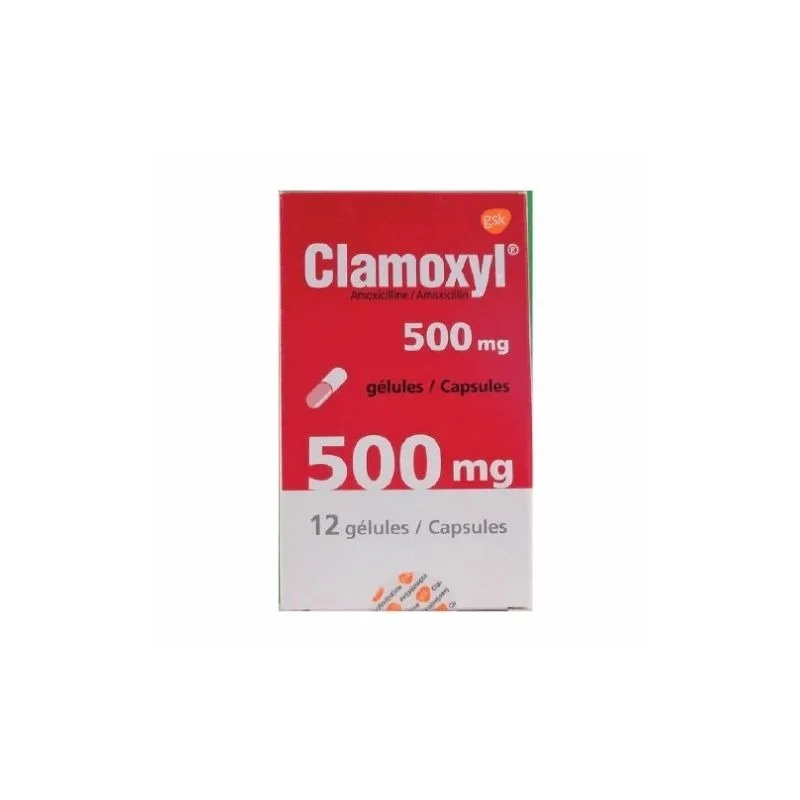 commander amoxicillin générique