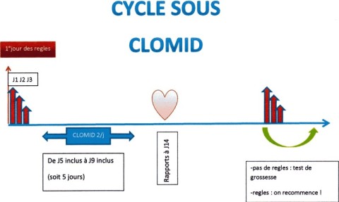Commander Du Clomid En Ligne