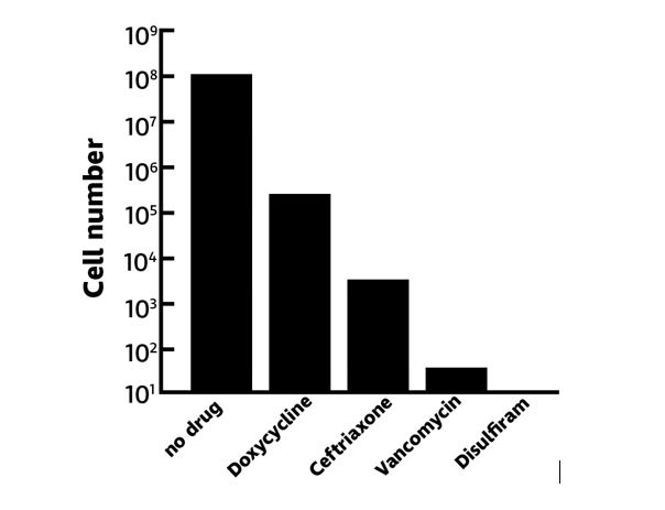 disulfiram 250mg