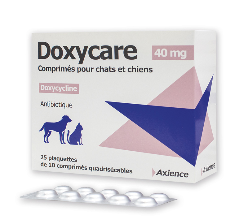 doxycycline 100 mg sans ordonnance