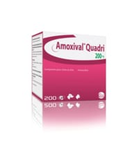 Achat Amoxicilline Chat