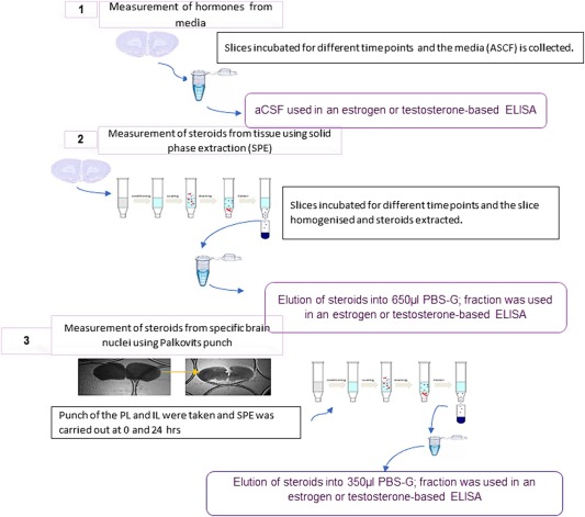Prednisolone Pbs Online