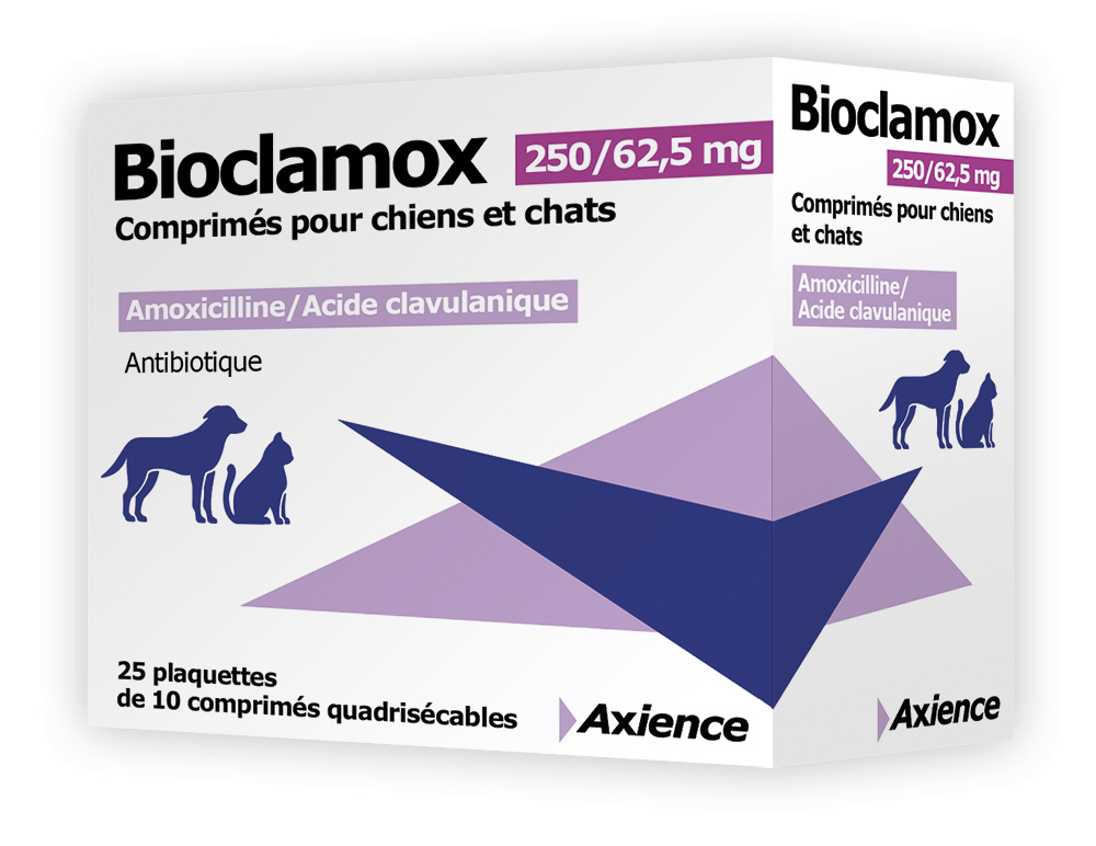 Amoxicillin Où Acheter