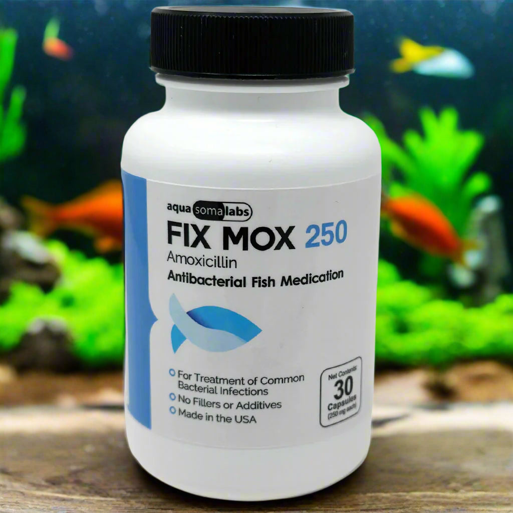 Soma 250mg