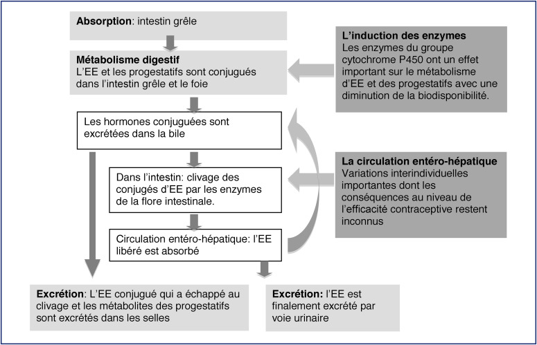 modafinil pilule