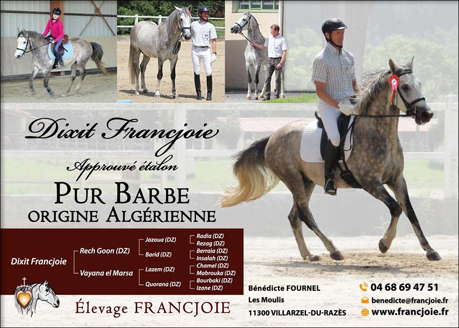 Ivermectine Cheval Prix