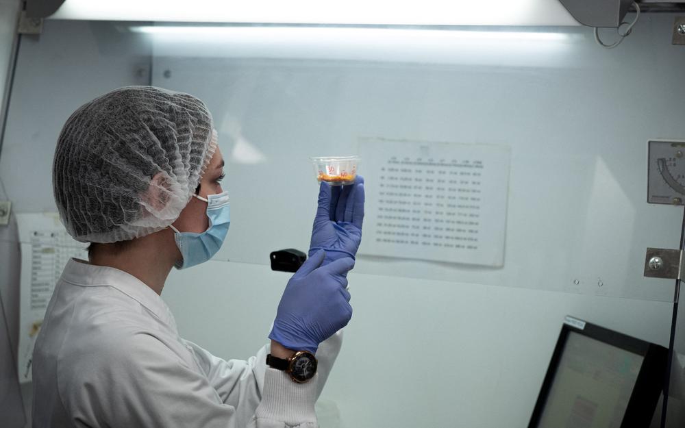 le prix du amoxicilline