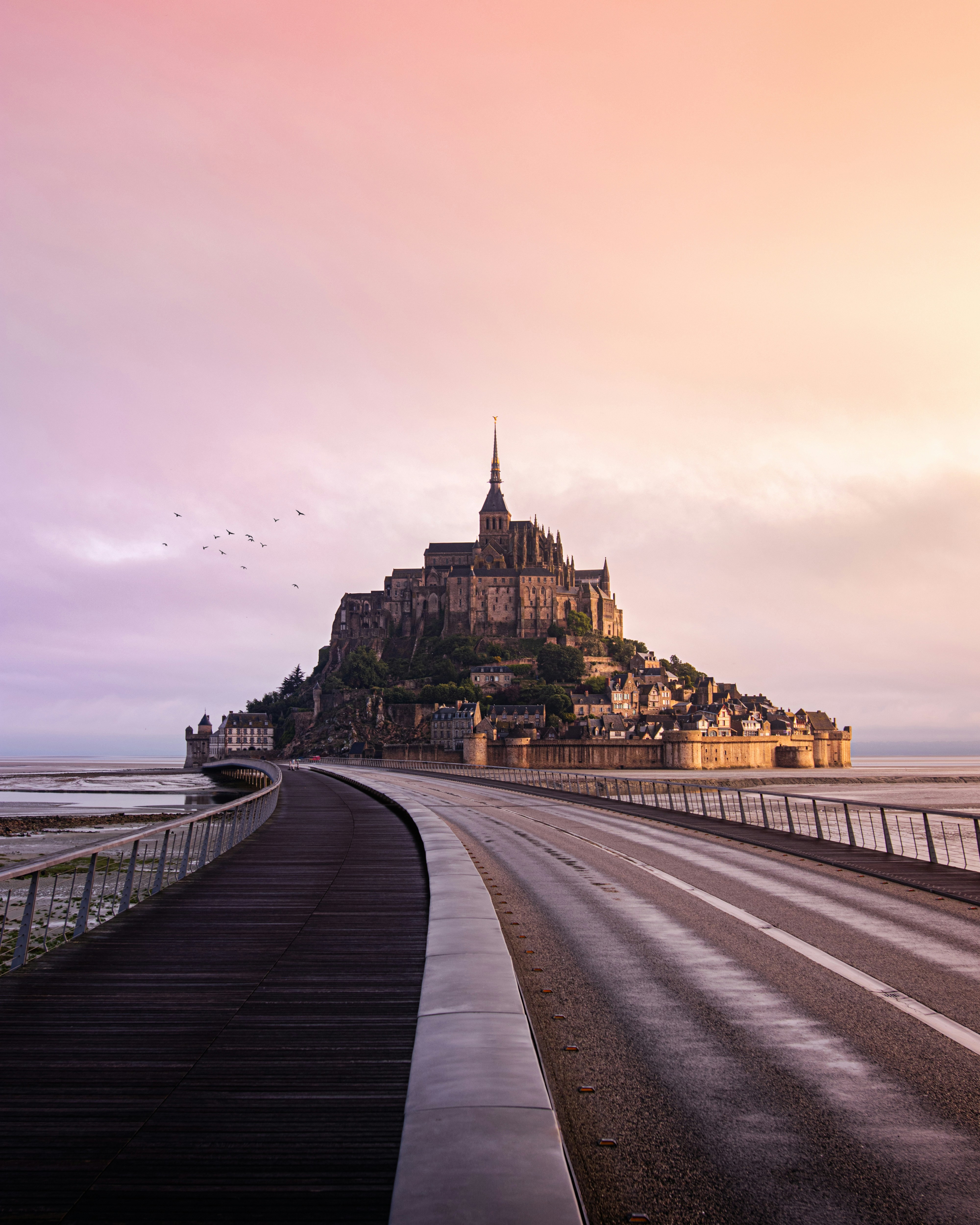 metformin en france