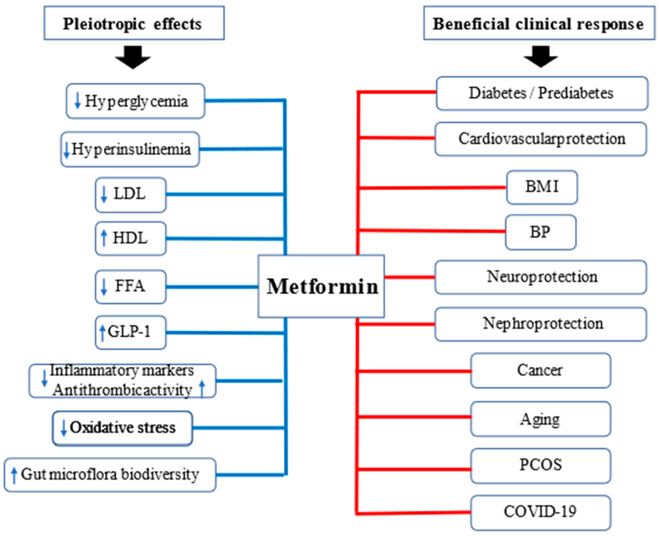 Metformin Script Online
