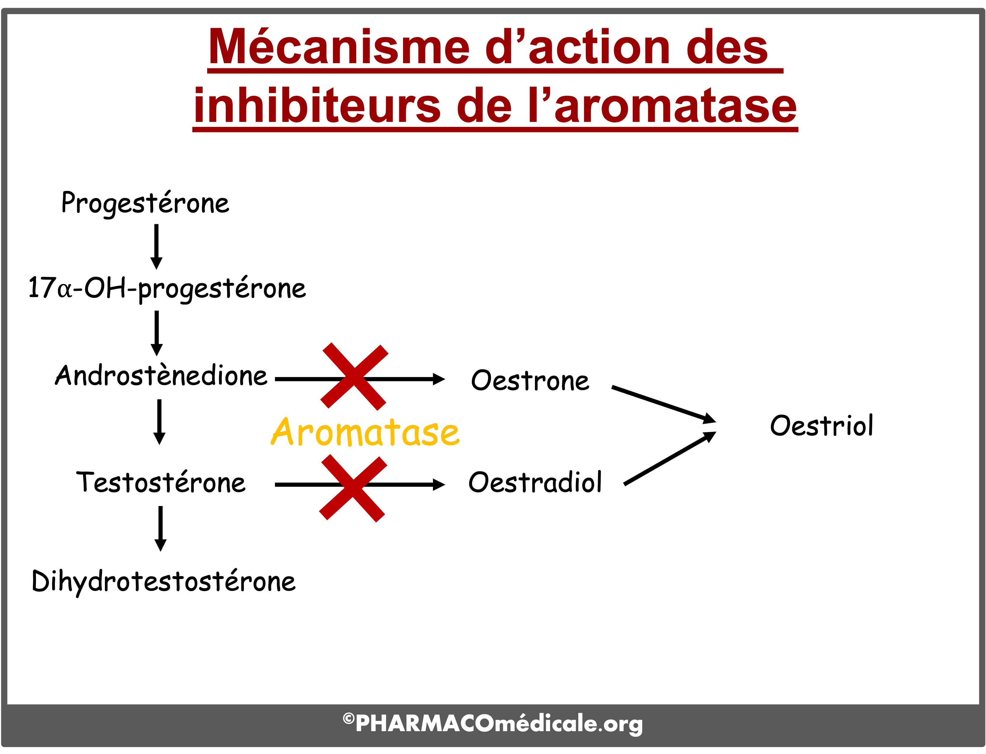 où acheter du tamoxifène
