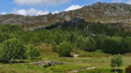 penegra france