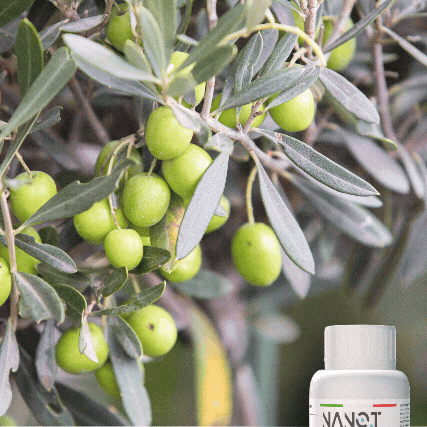 Pilule Derive Viagra