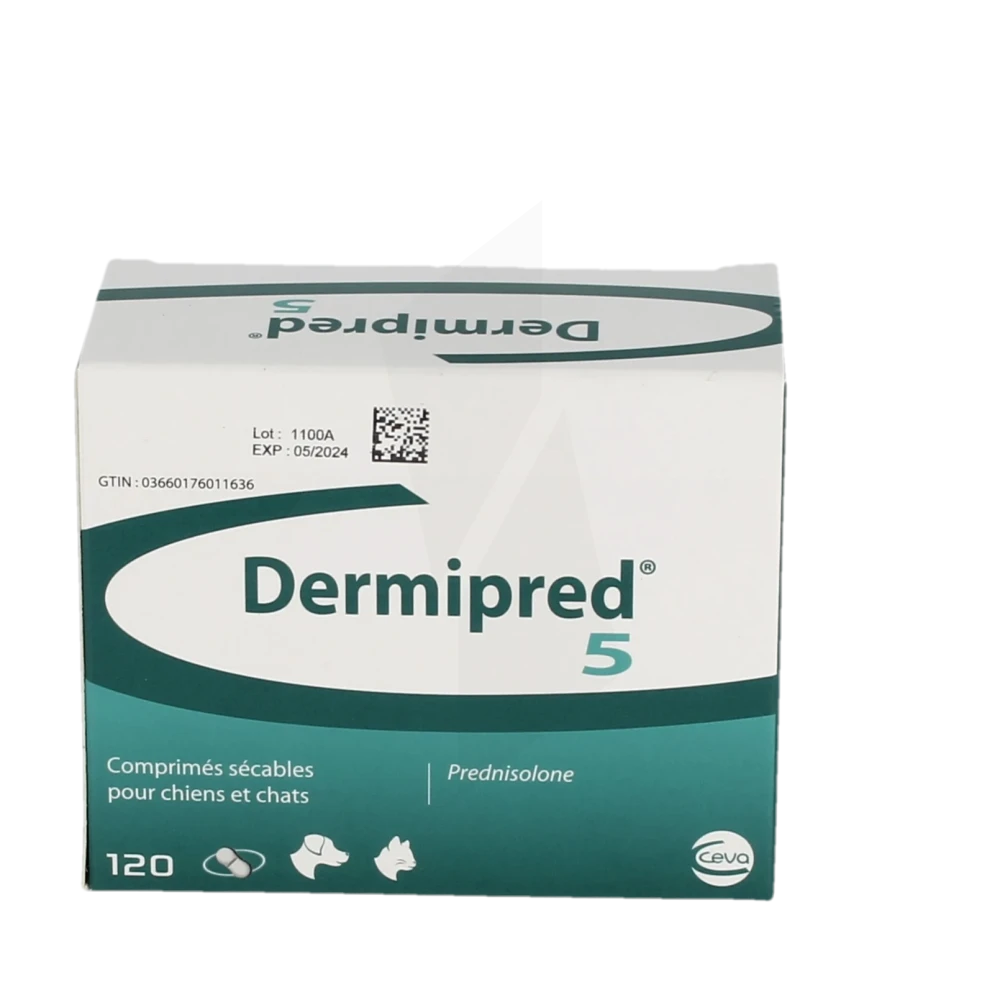 Prednisolone achat en ligne