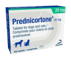 prednisolone générique