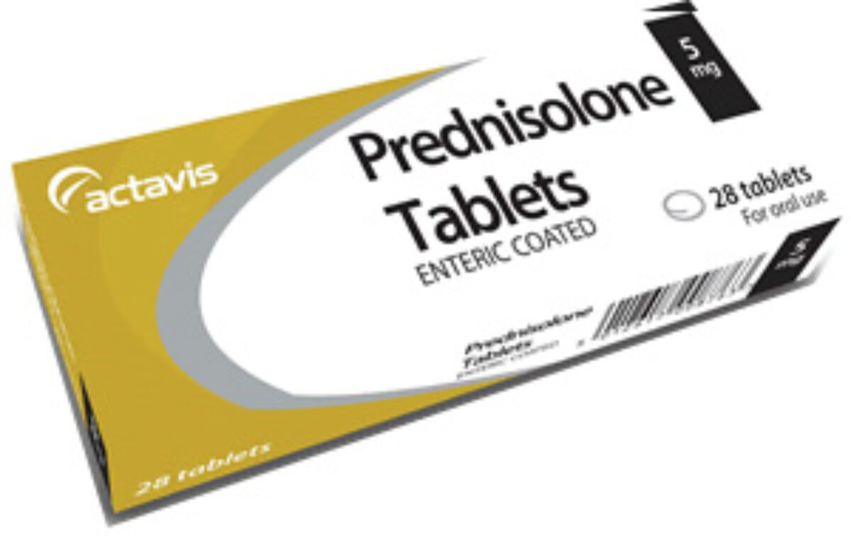 Prednisolone le moins cher