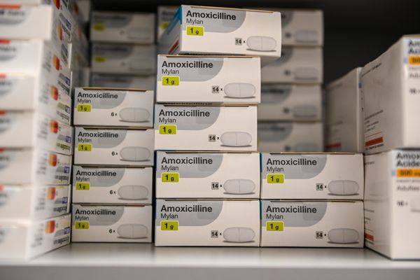 Prednisolone mylan prix