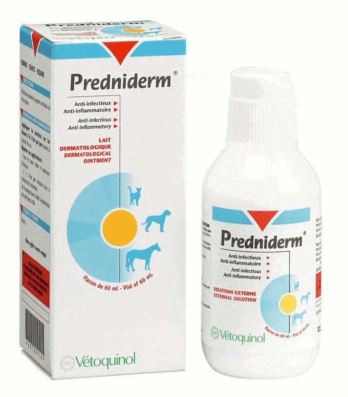 Prednisolone où acheter