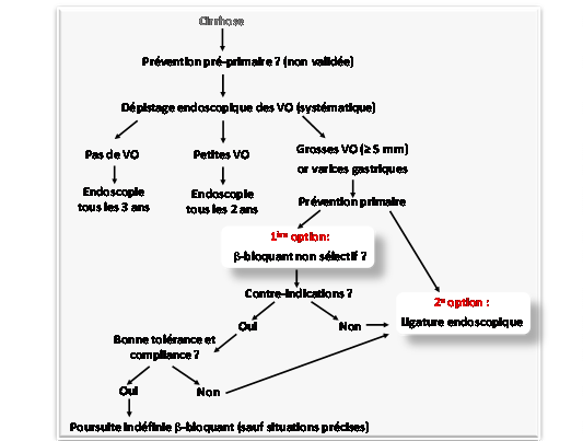 propranolol 20 mg palpitations