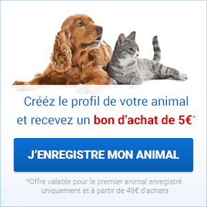 tramadol chien prix