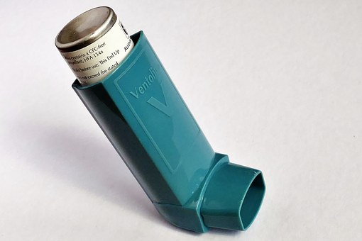 Ventolin Spray Prix